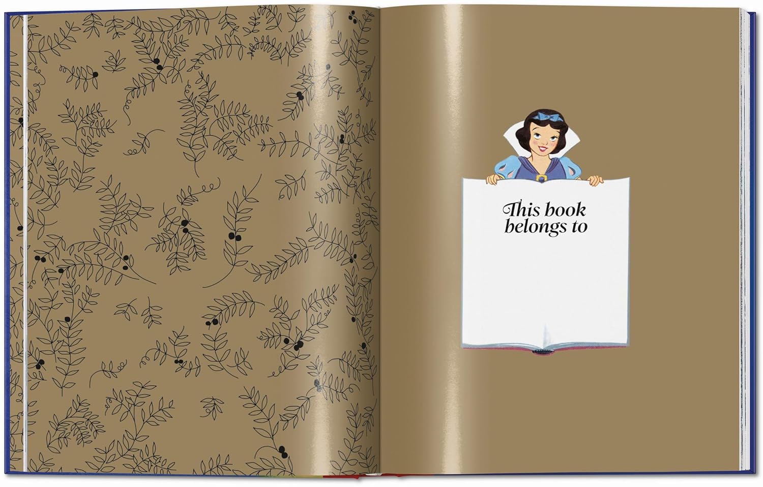 Walt Disney’s Children’s Classics 1937-1953 Taschen - görsel 2