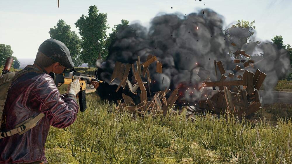 PlayerUnknown's Battlegrounds PS4 - görsel 4