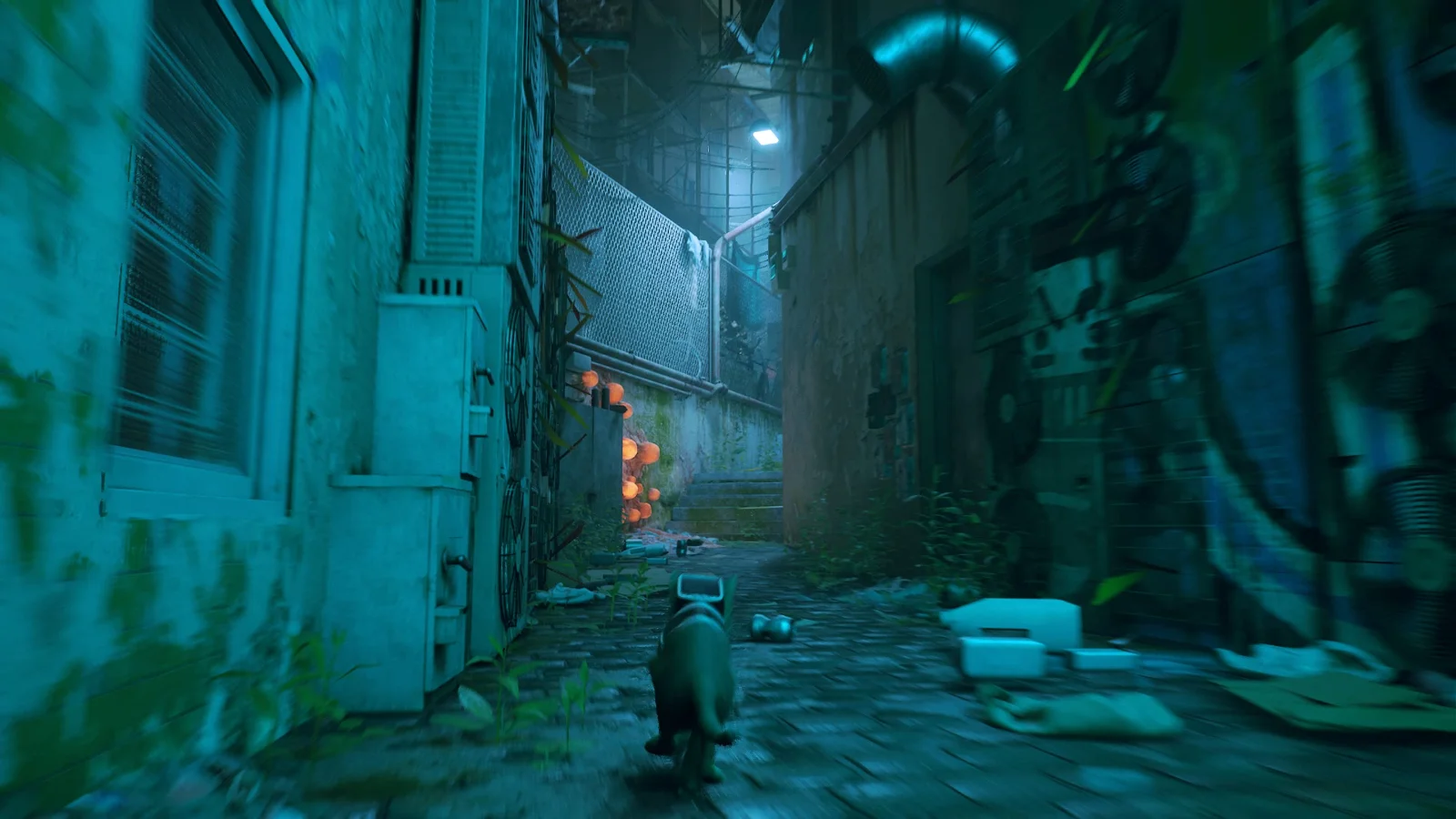 Stray PS4 - görsel 6