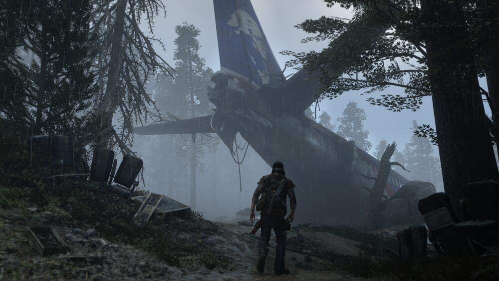 Days Gone PS4 - görsel 4