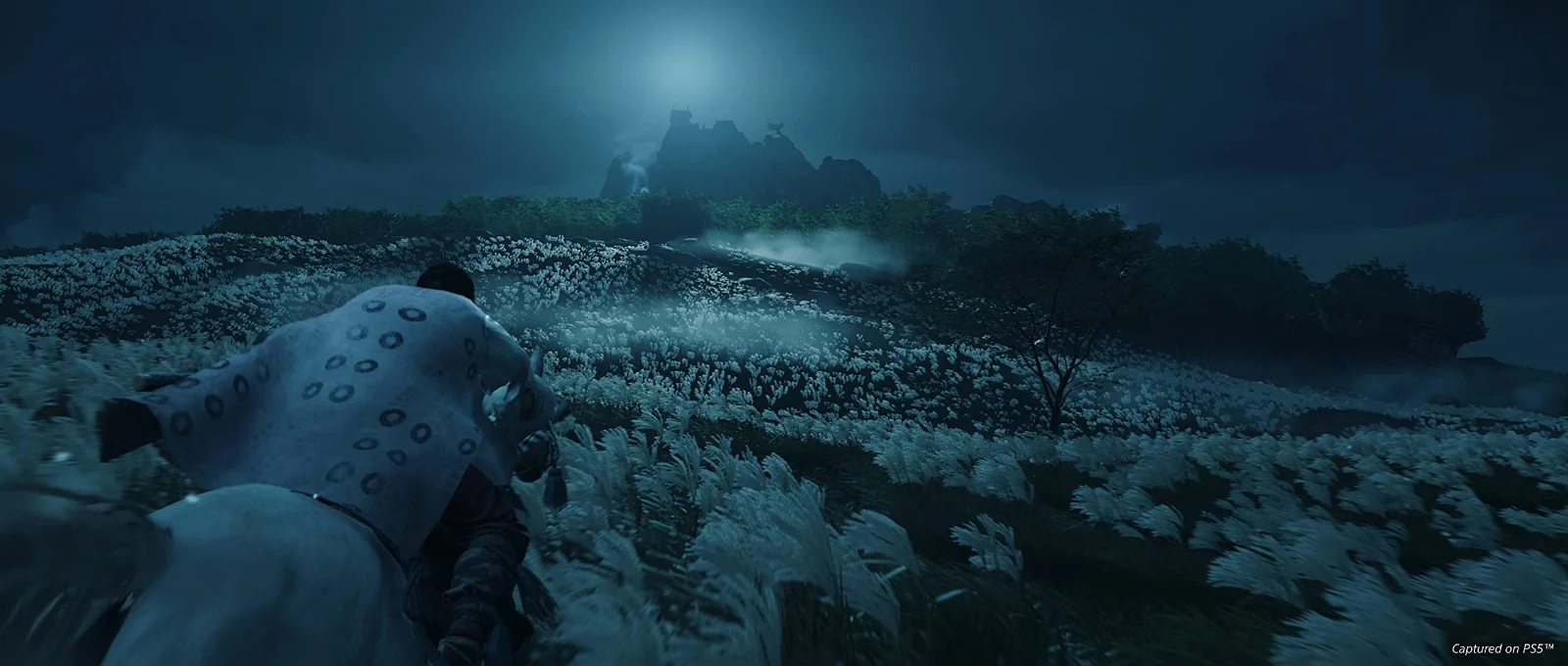 Ghost of Tsushima Director's Cut PS4 - görsel 5