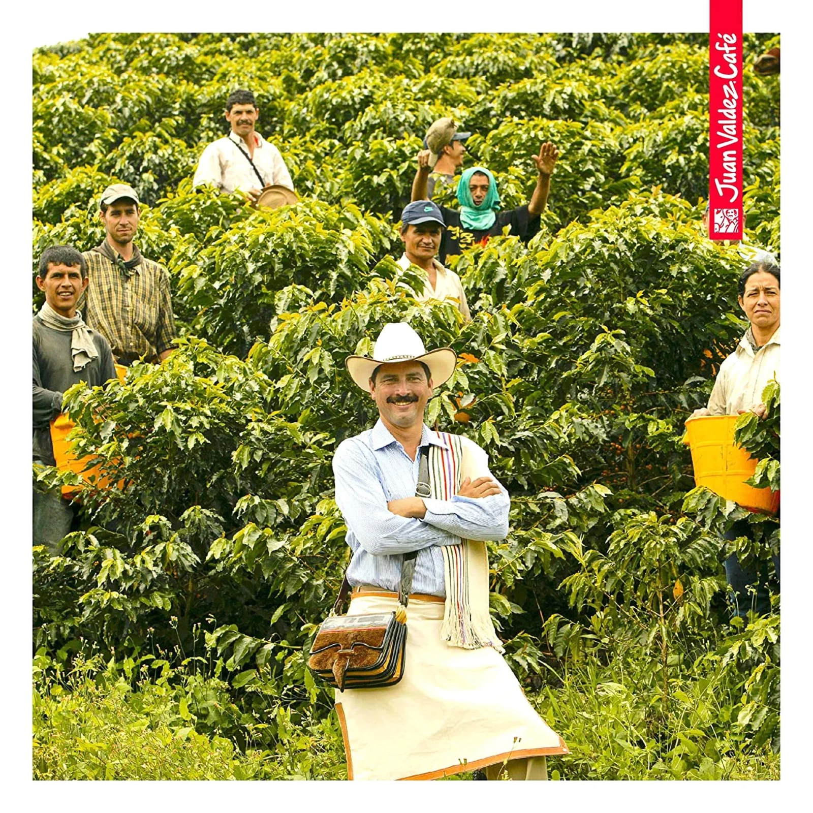 Juan Valdez Volcán Strong Çekirdek Kahve Premium Selection 454g - görsel 5