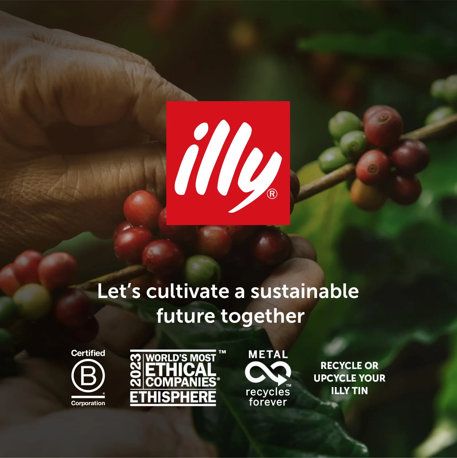 illy Çekirdek Kahve Orta Kavrulmuş 250 g - görsel 7