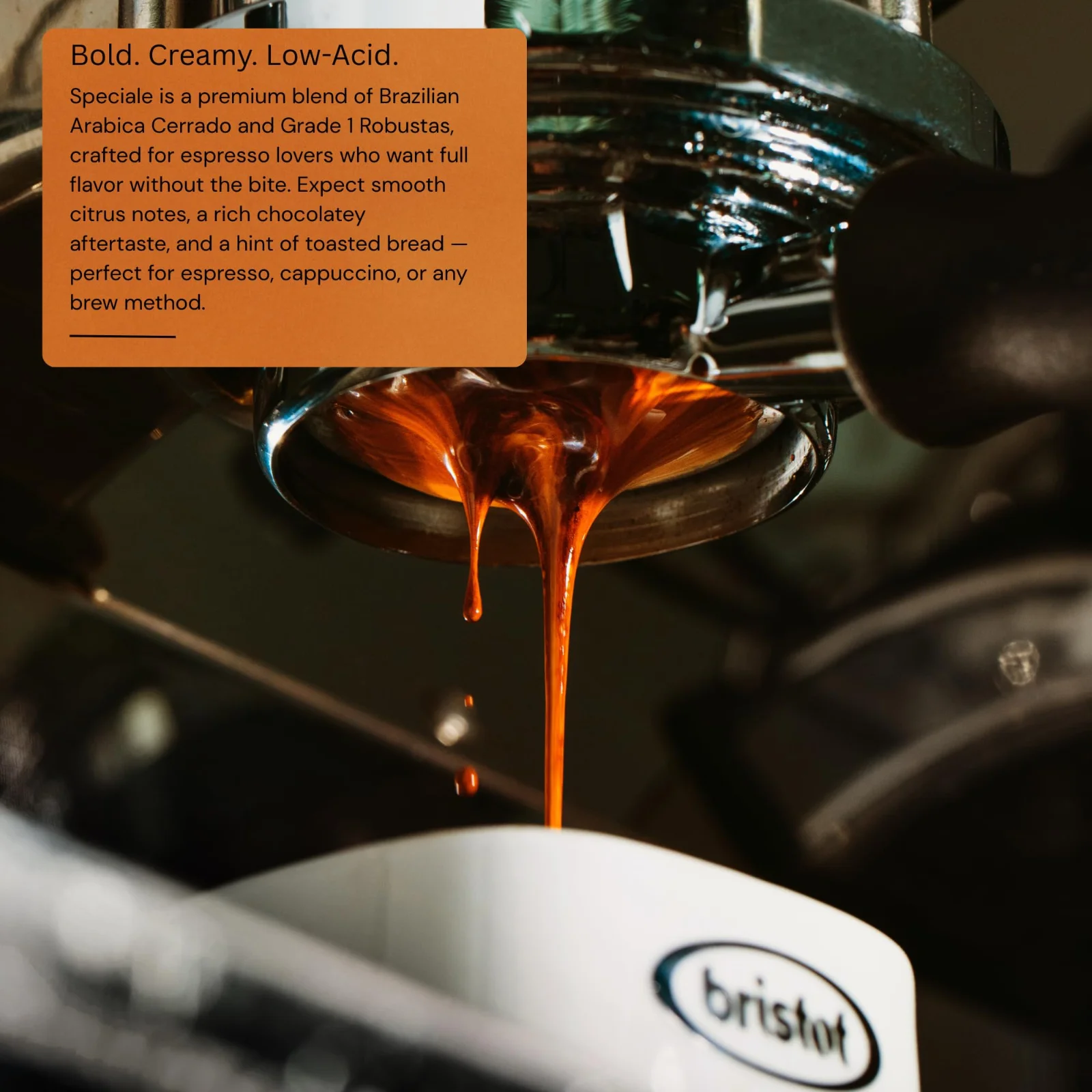 Bristot Speciale İtalyan Espresso Çekirdek Kahve (1 kg) - görsel 5
