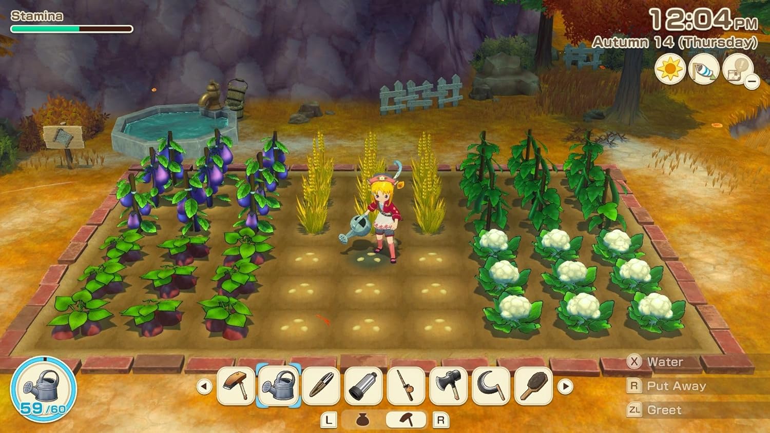 Story of Seasons Grand Bazaar Switch - görsel 6